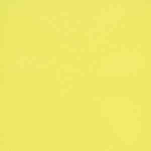 Линолеум FORBO Eternal Colour 40522 lemon фото ##numphoto## | FLOORDEALER